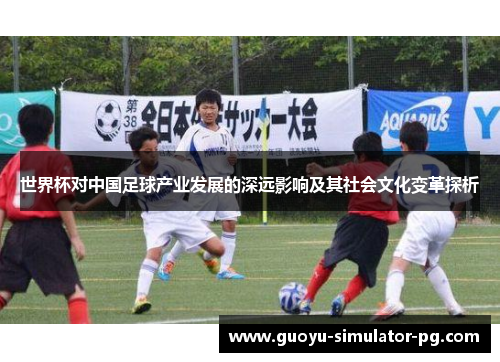 世界杯对中国足球产业发展的深远影响及其社会文化变革探析