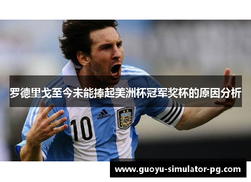 罗德里戈至今未能捧起美洲杯冠军奖杯的原因分析