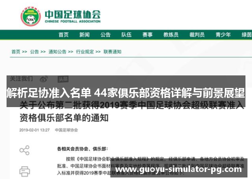 解析足协准入名单 44家俱乐部资格详解与前景展望 解析足协准入名单 44家俱乐部资格详解与前景展望
